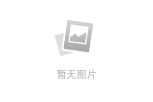 一图速览二十大报告