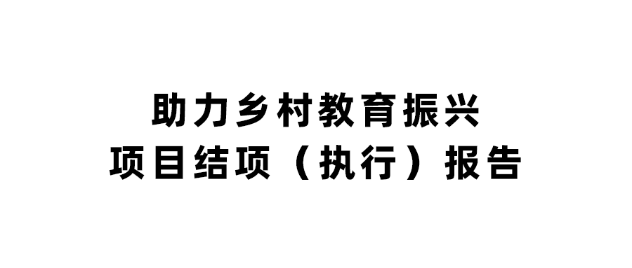 助力乡村教育振兴 项目结项（执行）报告