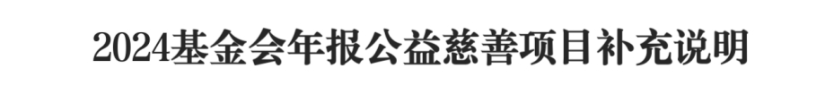2024基金会年报公益慈善项目补充说明