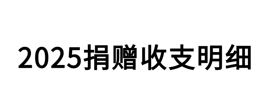 2025年捐赠收支明细