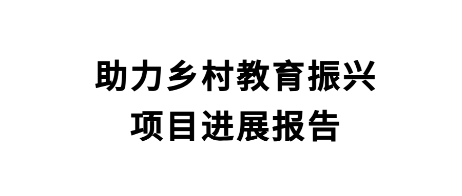 助力乡村教育振兴项目进展报告