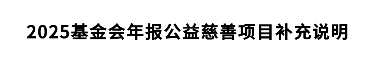 2025基金会年报公益慈善项目补充说明
